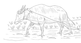 Sản phẩm nổi bật