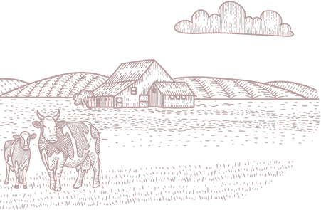 Cam kết giá trị từ Mekong Frozen Foods